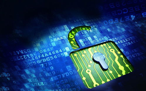 网络信息安全防范与自我保护策略